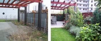 Zakładanie i projekty ogrodów - w trakcie prac
